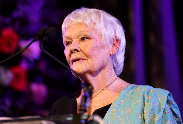 Judi Dench is no fan of trigger warnings.