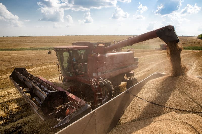 FILE PHOTO: A combine harvester machine loads grain onto a transport truck in Nikolaev