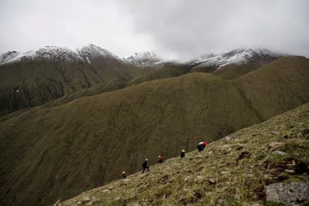 The Wider Image: As Chinese mountains get hotter, 'cure-all' fungus dwindles