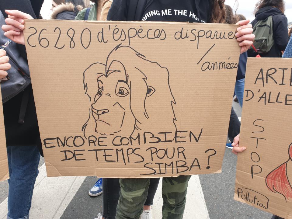 <p>“26 280 espèces disparues/an : encore combien de temps pour Simba ?” </p>