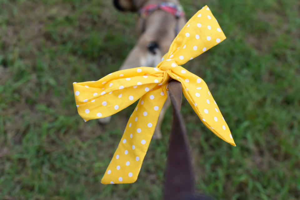 Eine gelbe Schleife an der Hundeleine ist kein Mode-Accessoire, sondern ein Signal an andere Hundebesitzer. (Bild: Getty Images)