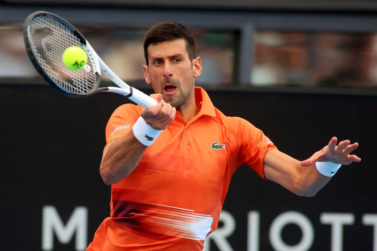 Novak Djokovic was made to earn his victory against Quentin Halys, outlasting the 64th-ranked Frenchman 7-6 (3) 7-6 (5) in their round of 16 clash at the Adelaide International 1 (Kelly Barnes/AP) (AP)