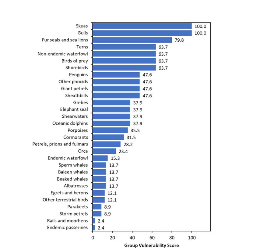 Antarctic fauna vulnerability table based on known susceptibility to highly pathogenic avian influenza (HPAI), host risk behavior and population connectivity | SCAR Antarctic Wildlife Health Network