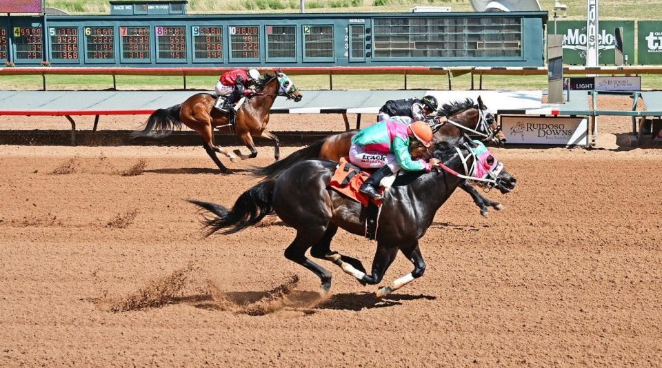 Ivory Senator, middle horse, has died after qualifying for the Ruidoso Derby for 3-year-old quarter horses.