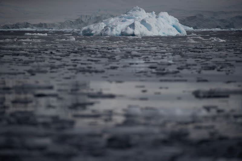 The Wider Image: On board the Antarctic expedition that reveals dramatic penguin decline