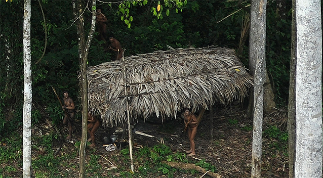 An uncontacted Amazon tribe is photographed from a plane flying overhead. Photo: REUTERS/Lunae Parracho