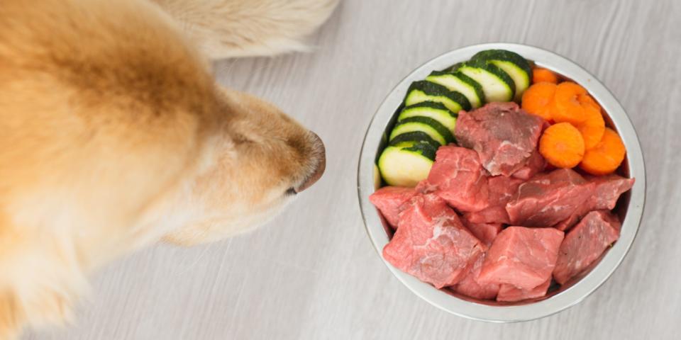 raw food diet dogs