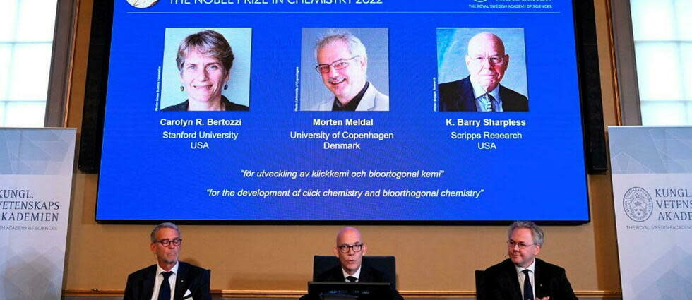 Le prix Nobel de chimie récompense trois scientifiques, deux Américains et un Danois.  - Credit:JONATHAN NACKSTRAND / AFP