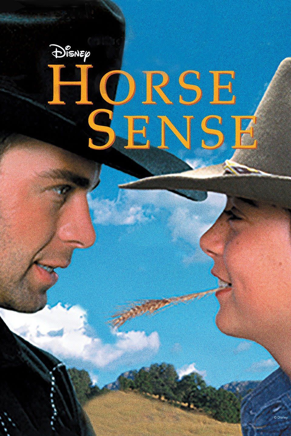 51. <i>Horse Sense</i>