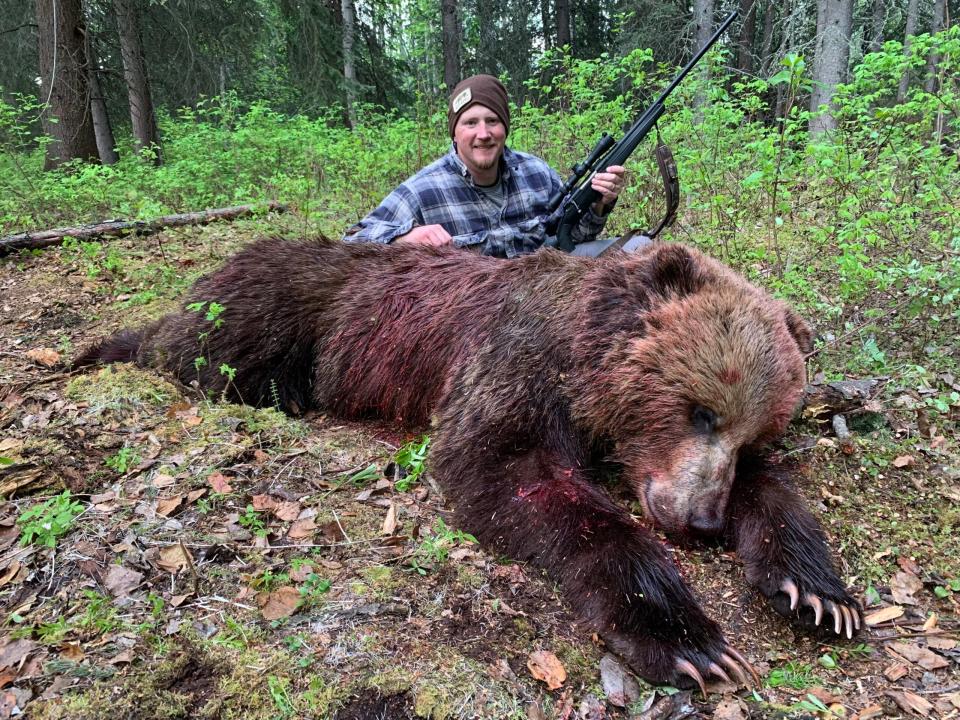 Grizzly bear killed with 6.5 Creedmoor