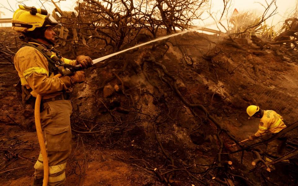 Firefighters tackle a blaze caused by the hot winds and dust on Tenerife - RAMON DE LA ROCHA/REX