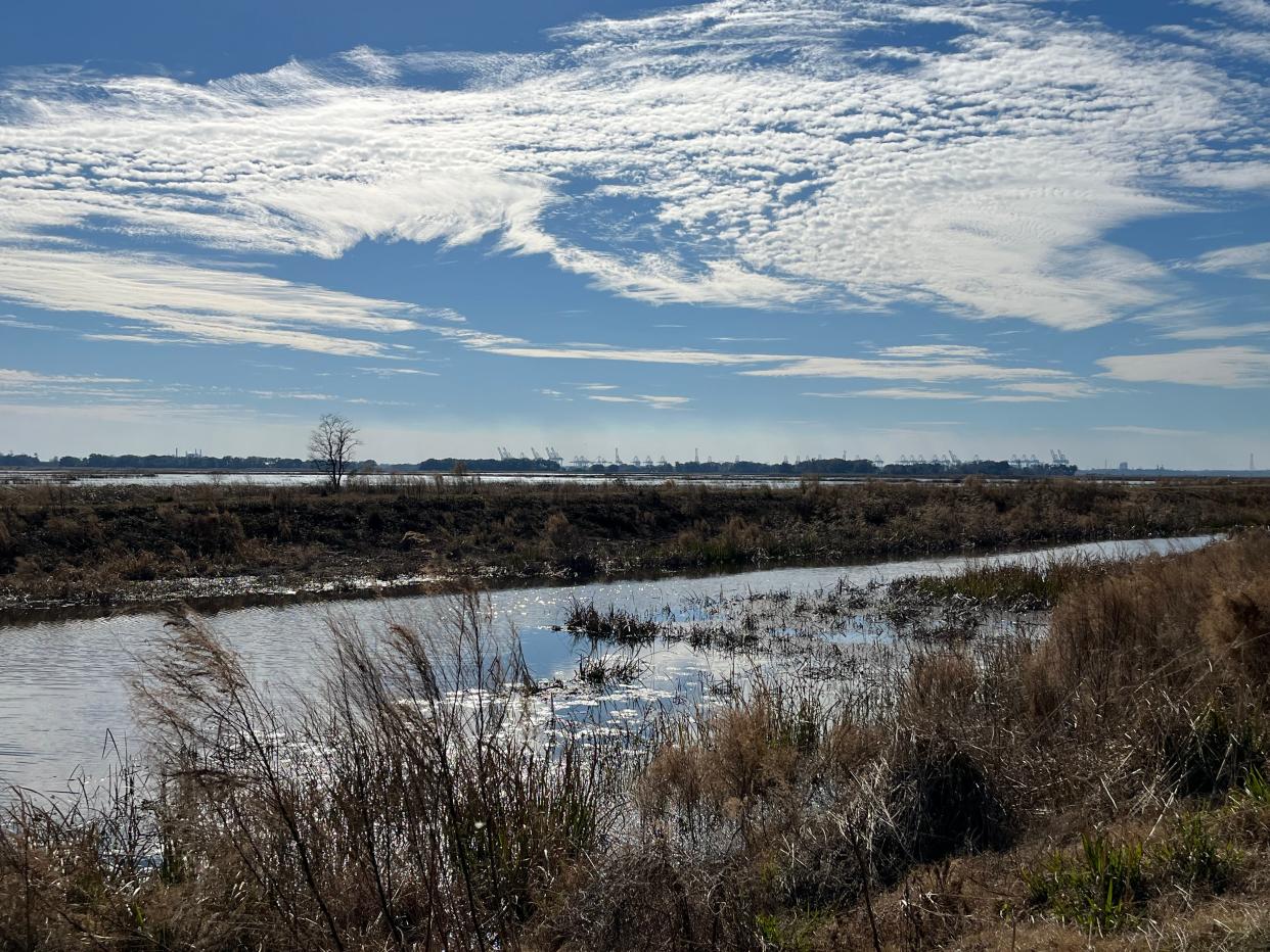 A recently completed project will protect 3,000 acres of freshwater wetlands at the Savannah National Wildlife Refuge from sea-level rise and extreme weather tied to climate change, as well as saltwater intrusion fueled by expansion of the nearby Port of Savannah.