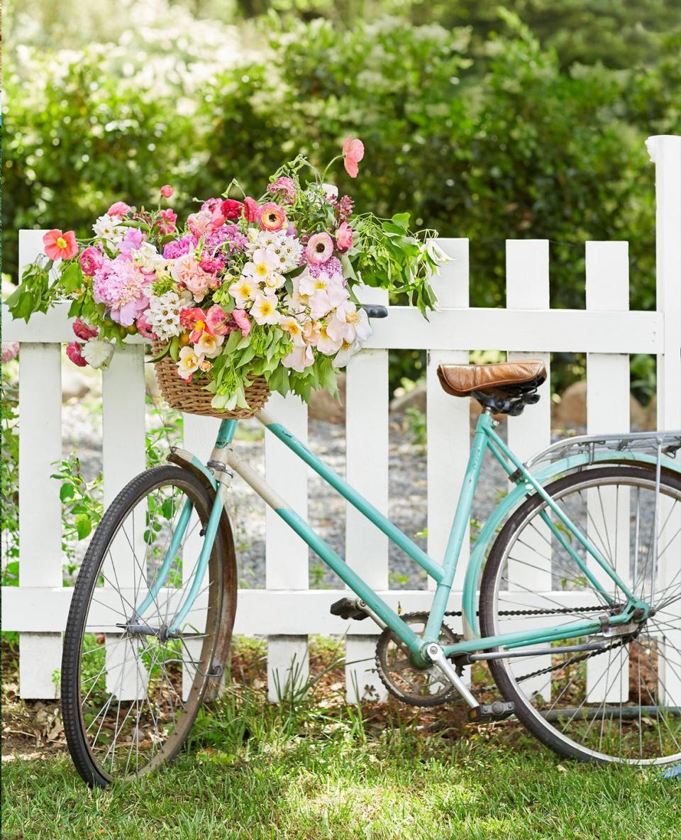 summer activities with a bike in a garden