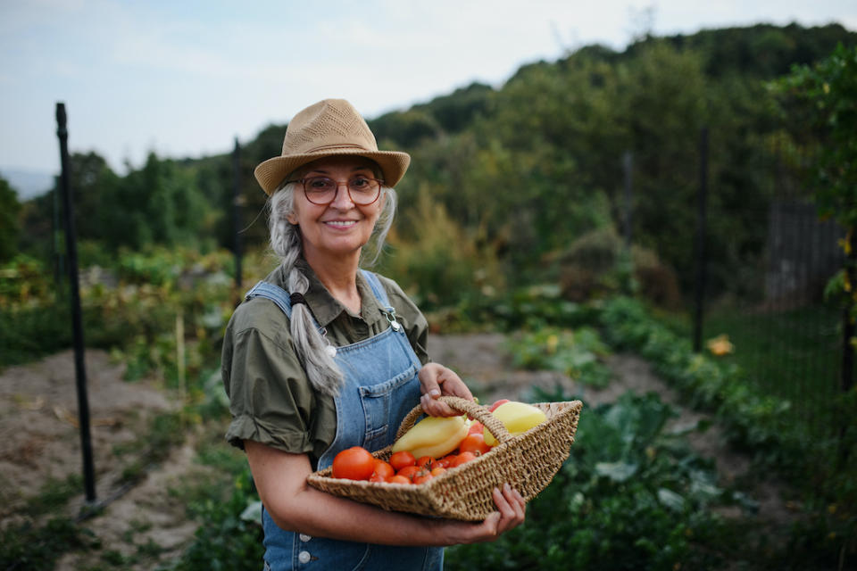 Dès le mois de février, on se remet au potager pour les premières semis et plantations. (Photo : Getty Images)