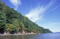 <p><strong>The Drive: </strong><span class="redactor-unlink">Palisades Scenic Byway</span></p><p><strong>The Scene: </strong>Travel beside the Hudson River through a section of New Jersey's national historic landmark, <a href="https://go.redirectingat.com?id=74968X1596630&url=https%3A%2F%2Fwww.tripadvisor.com%2FShowUserReviews-g46420-r131464806-Englewood_Cliffs_New_Jersey.html&sref=https%3A%2F%2Fwww.goodhousekeeping.com%2Flife%2Ftravel%2Fg37101557%2Fmost-scenic-drives-in-america%2F" rel="nofollow noopener" target="_blank" data-ylk="slk:Palisades Interstate Park;elm:context_link;itc:0;sec:content-canvas" class="link ">Palisades Interstate Park</a>. The 500-foot-high Palisades look especially amazing during the autumn months. You'll also get a glimpse of the <a href="https://go.redirectingat.com?id=74968X1596630&url=https%3A%2F%2Fwww.tripadvisor.com%2FAttractions-g60763-Activities-oa30-New_York_City_New_York.html&sref=https%3A%2F%2Fwww.goodhousekeeping.com%2Flife%2Ftravel%2Fg37101557%2Fmost-scenic-drives-in-america%2F" rel="nofollow noopener" target="_blank" data-ylk="slk:New York City;elm:context_link;itc:0;sec:content-canvas" class="link ">New York City</a> skyline across the river. </p><p><strong>The Pit-Stop: </strong>Your little ones will love to learn all about the nature at the <a href="https://go.redirectingat.com?id=74968X1596630&url=https%3A%2F%2Fwww.tripadvisor.com%2FAttraction_Review-g46863-d1832921-Reviews-Tenafly_Nature_Center-Tenafly_New_Jersey.html&sref=https%3A%2F%2Fwww.goodhousekeeping.com%2Flife%2Ftravel%2Fg37101557%2Fmost-scenic-drives-in-america%2F" rel="nofollow noopener" target="_blank" data-ylk="slk:Tenafly Nature Center;elm:context_link;itc:0;sec:content-canvas" class="link ">Tenafly Nature Center</a>. </p>