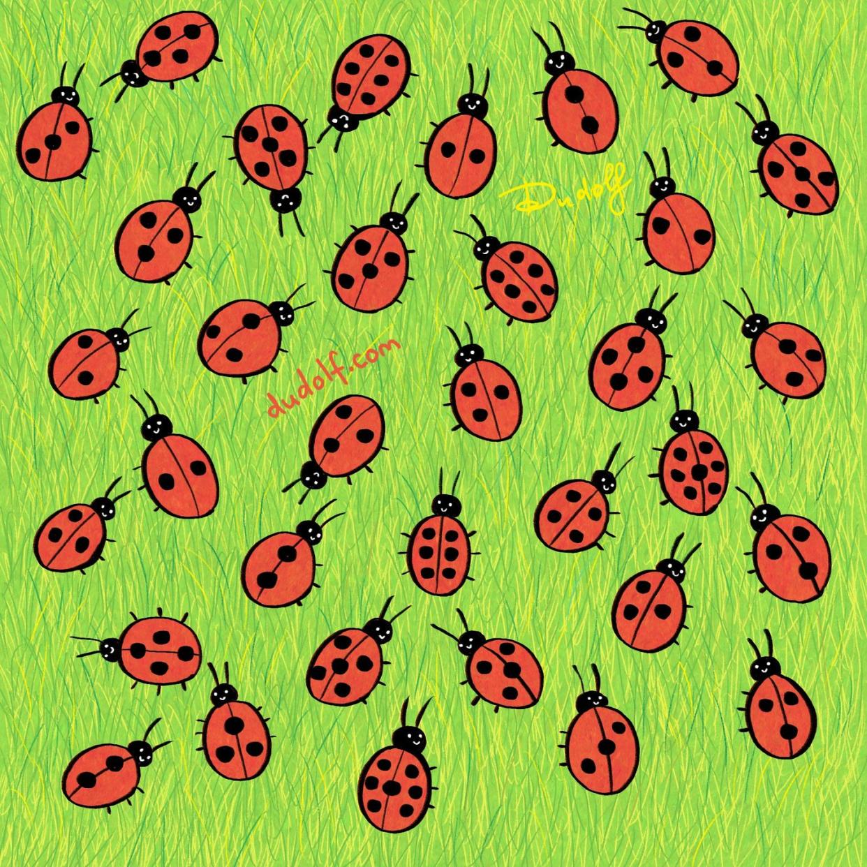 ladybug spotted pattern spring puzzle dudolf