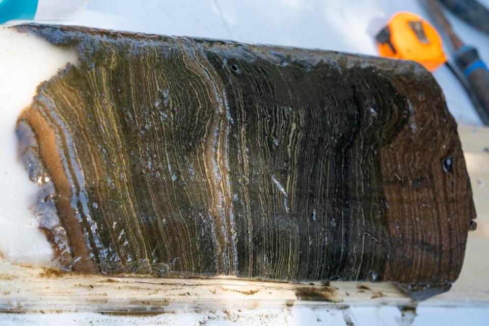 The distinct years of sediment deposits are visible in this section of sediment collected from the bottom of Crawford Lake in April 2023 (AFP via Getty Images)