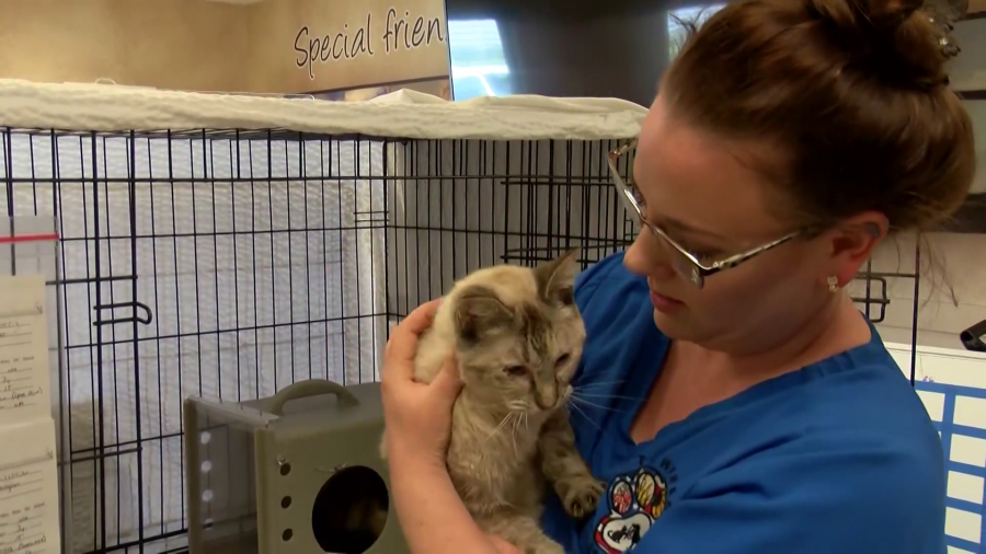 Nearly 50 animals removed from Kansas home. Photos taken on April 16, 2024 (KSN Photo)