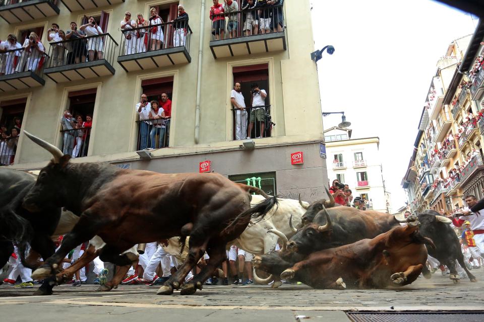 A Del Tajo la Reina's bull falls during the second 'encierro' (bull-run) of the San Fermin Festival in Pamplona, northern Spain, on July 8, 2015. The festival is a symbol of Spanish culture that attracts thousands of tourists to watch the bull runs despite heavy condemnation from animal rights groups.   AFP PHOTO/ CESAR MANSO        (Photo credit should read CESAR MANSO/AFP/Getty Images)