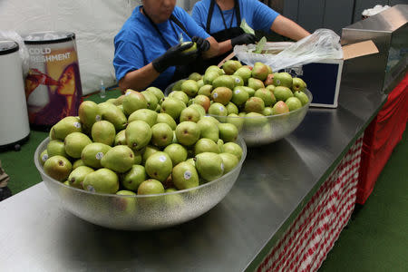 Fruits are on display at a tent city set up to hold immigrant children separated from their parents or who crossed the U.S. border on their own, in Tornillo, Texas, U.S., in this U.S. Department of Health and Human Services (HHS) image released on October 12, 2018. Courtesy HHS/Handout via REUTERS