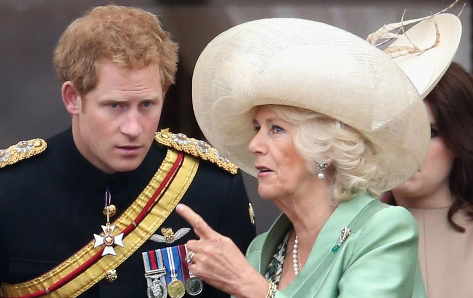 Prince Harry and Camilla, then the Duchess of Cornwall, on the Buckingham Palace balcony in 2015 - Chris Jackson/Getty Images