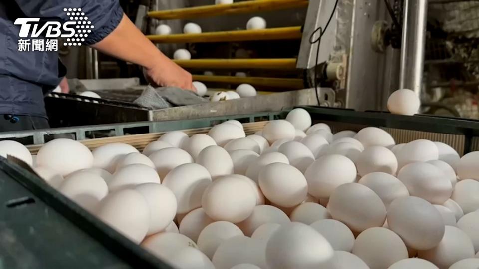 農委會擴大採購進口蛋，以彌補短期雞蛋缺口。（圖／TVBS）