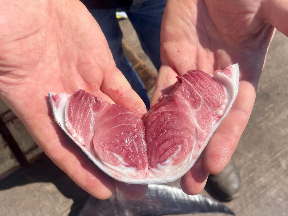 "This is really what we're looking for - well handled, really nice shape...It's well marbled all the way down through to the bone. This is triple A grade top quality," said buyer and exporter Jason Tompkins of this tuna, caught Friday off P.E.I.'s north shore. 