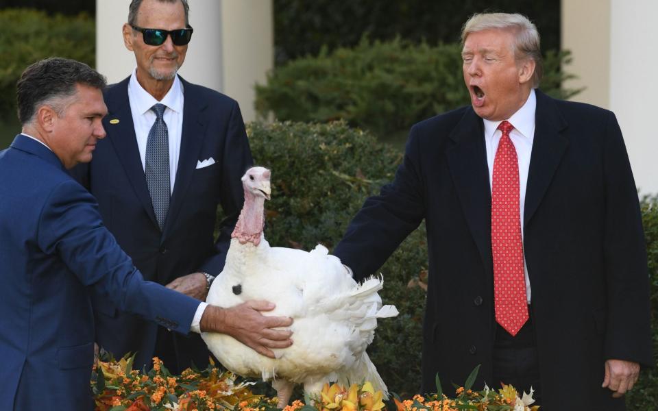 US President Donald Trump pardons the National Thanksgiving Turkey - AFP