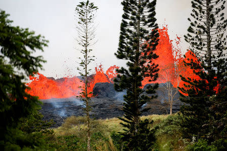 Lava erupts on the outskirts of Pahoa during ongoing eruptions of the Kilauea Volcano in Hawaii, U.S., May 19, 2018. REUTERS/Terray Sylvester