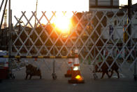 Boars roam near a barricade set up to restrict the entry to difficult-to-return zones in Futaba, near the tsunami-crippled Fukushima Dai-ichi nuclear plant, Fukushima prefecture, Japan Saturday, March 11, 2017. On Saturday, Japan is marking the anniversary of the 2011 massive earthquake and tsunami that struck the nation. (Kota Endo/Kyodo News via AP)