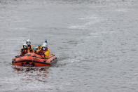 A boat of the RNLI looks for a whale calf that had been found in the River Thames, in London