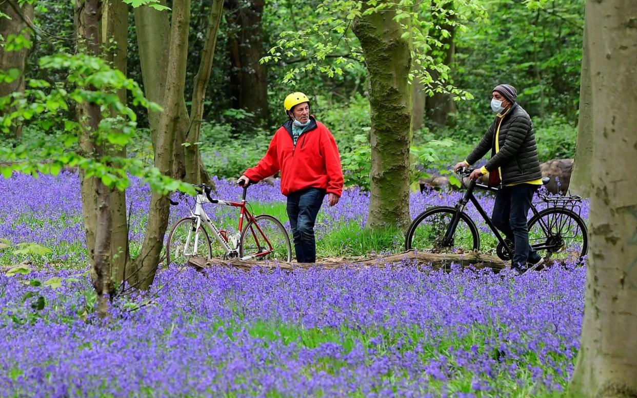 Cyclists among bluebells in Epping Forest, Wanstead - Toby Melville/Reuters