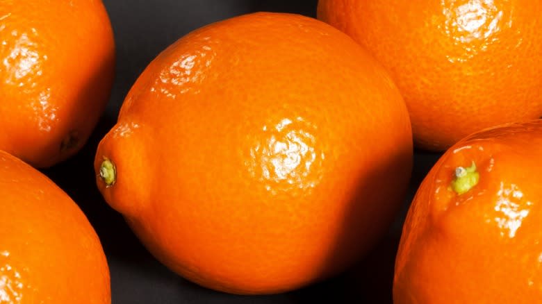 Close-up of a Minneola tangelo