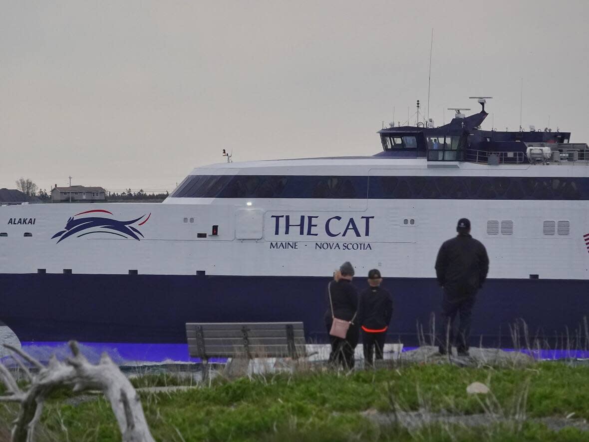 The Cat ferry resumed service this year between Nova Scotia and Maine after a three-year hiatus. Public Works Minister Kim Masland says she's disappointed with its performance this season. (Brett Ruskin/CBC - image credit)