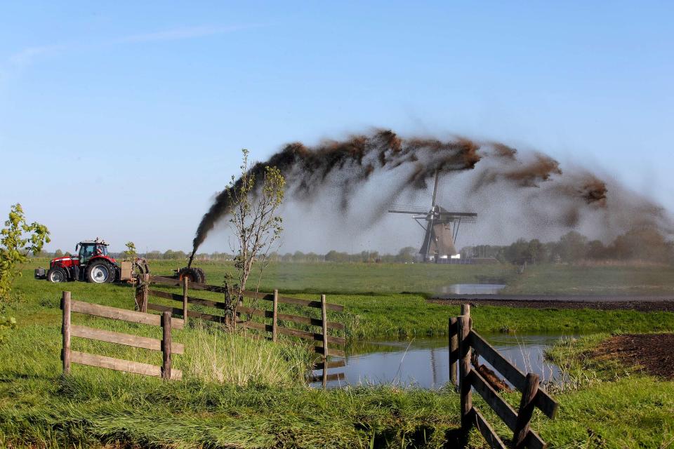 荷蘭的農牧業十分興盛，卻也因大量的動物排泄物、使用化學肥料，造成氮污染問題居高不下。