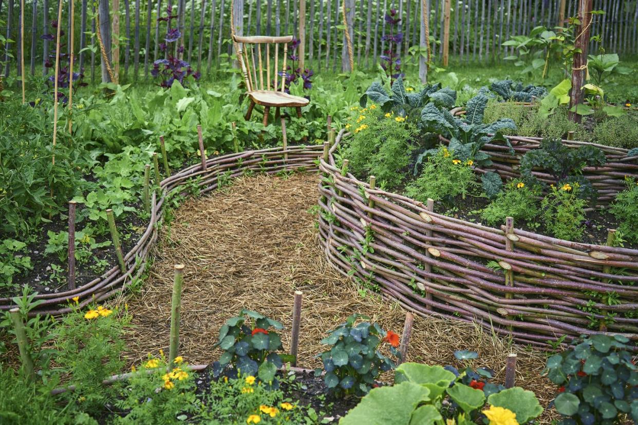 raised garden bed ideas