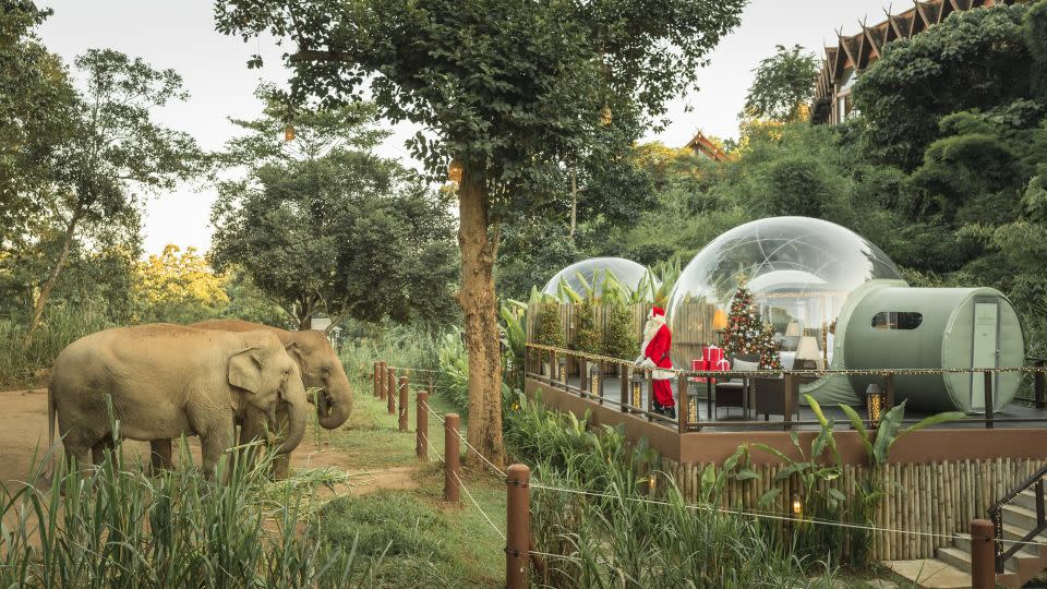 Anantara Golden Triangle's "jungle bubbles" double as snow globes during the holidays. - Anantara Golden Triangle Elephant Camp & Resort