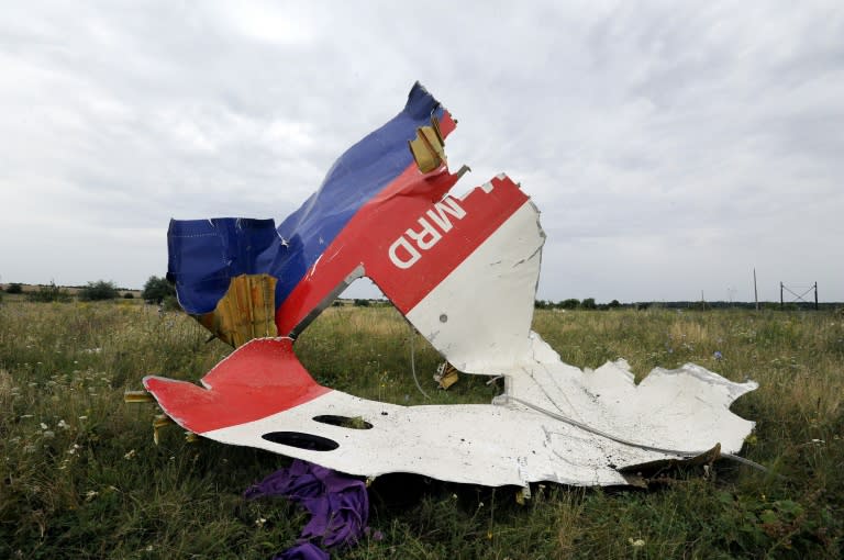 Wreckage of the Malaysia Airlines flight MH17 in Shaktarsk, eastern Ukraine, a day after it crashed, on July 18, 2014