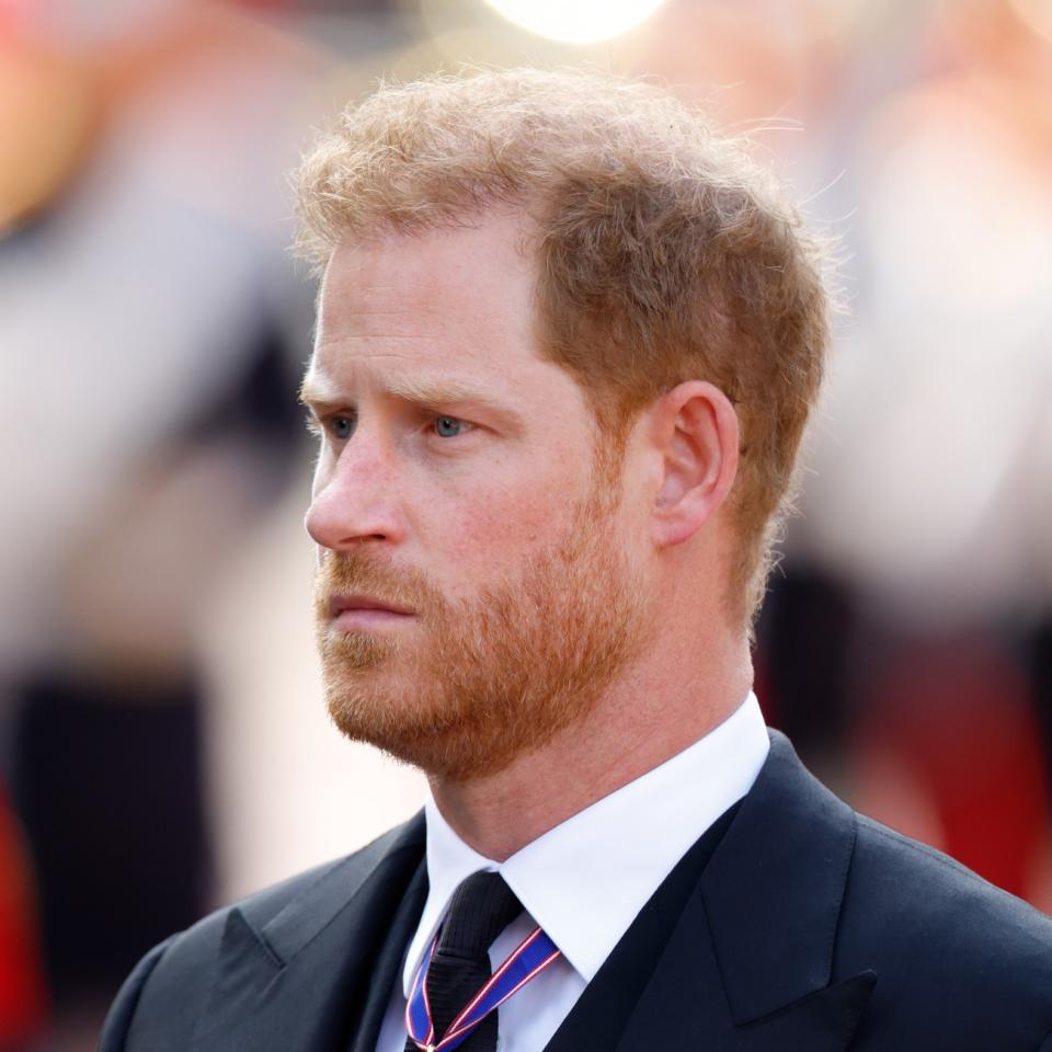  Prince Harry 