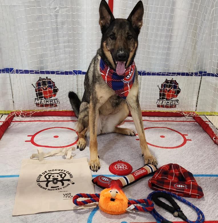 Maggie the Goalie poses with her Montreal Canadiens goodies. 