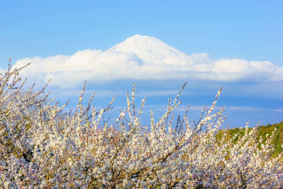 岩本山公園（Image Source : Getty Creative）