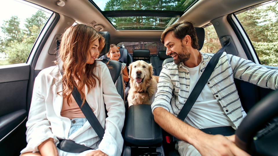 Family on road trip with their retriever dog