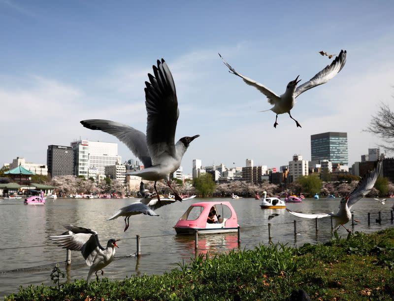 The Wider Image: Postcards from Tokyo: light and shadow ahead of pandemic Olympics