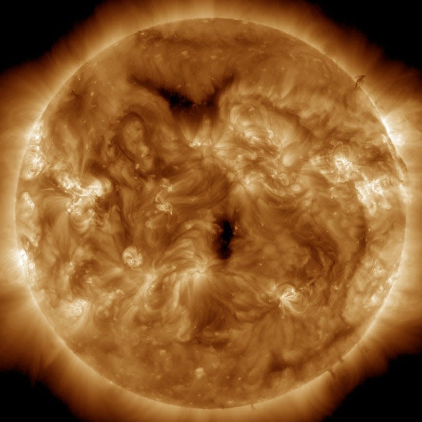 Die Sonne entwickelt koronale Löcher, eine der vielen Formen der Sonnenaktivität, die in diesem Jahr ihren Höhepunkt erreichen könnte. - Copyright: NASA Solar Dynamics Observatory