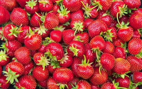 strawberries - Credit: Alamy