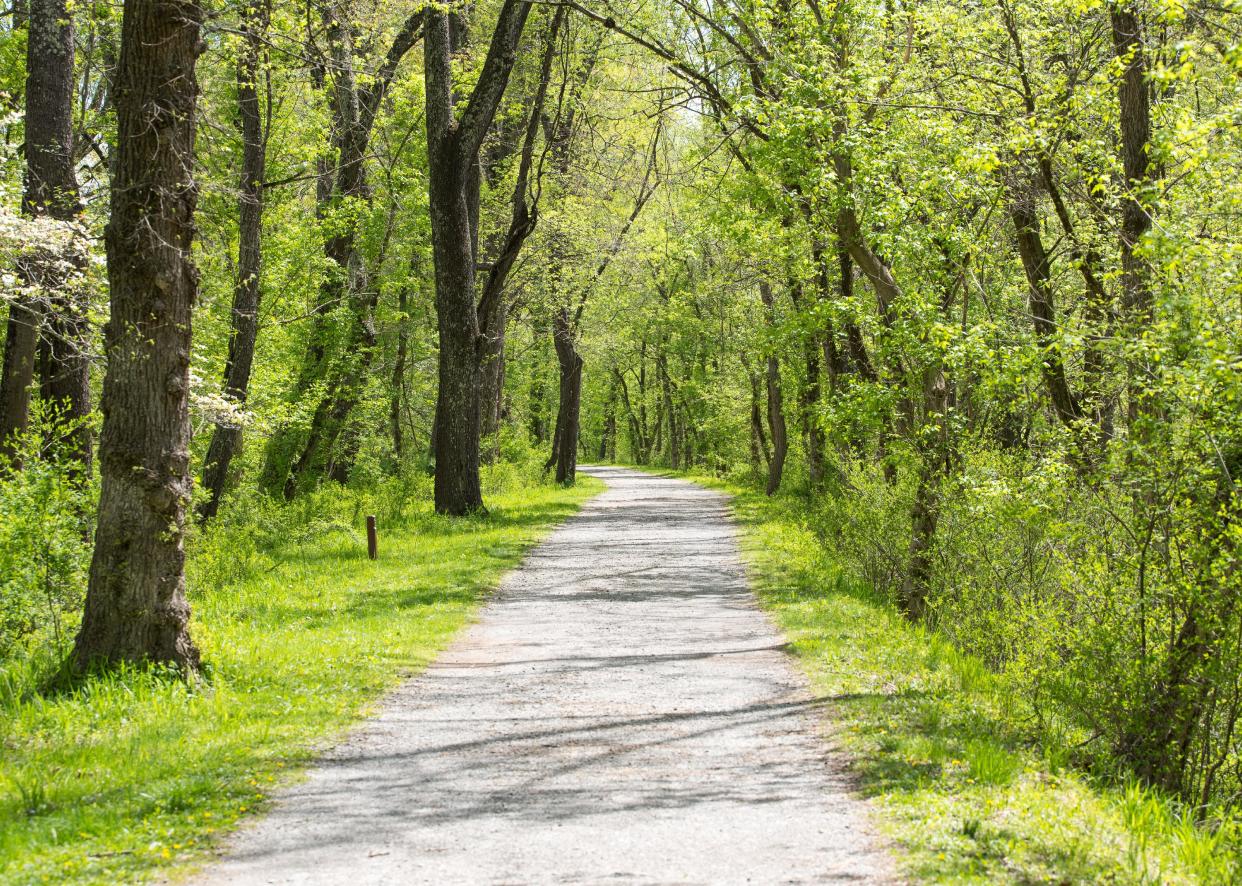 The Chesapeake and Ohio Canal Towpath on a spring day.