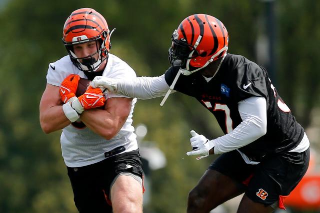 Bengals bring back TE Drew Sample in free agency