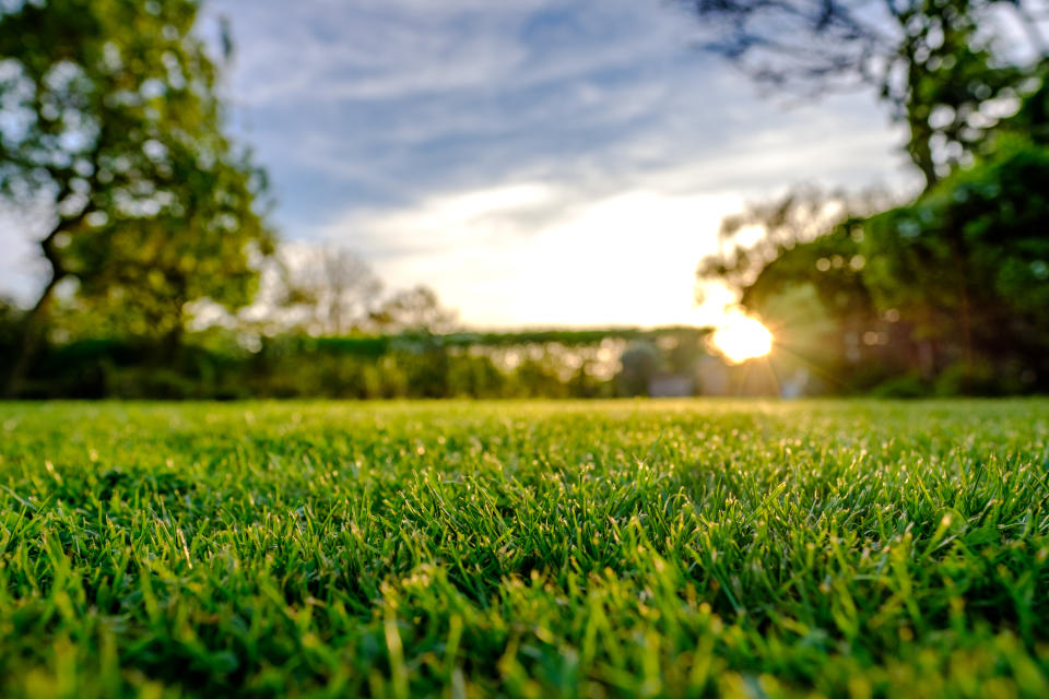 Give your lawn some TLC and it'll reward you come spring. (Photo: Getty Images)