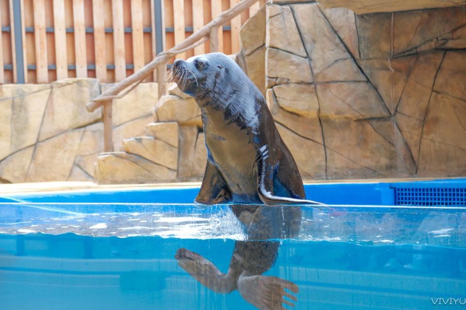 桃園水族館「Xpark」