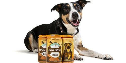 busch light turkey beer for dogs